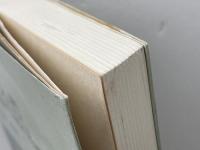 英詩入門: English Lyric Poetry 吾妻書房 松浦 暢