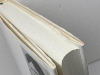 むずかしい時期の子供たち: 学習障害児たちとの経験 みすず書房 ユルク イェッゲ