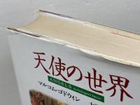 天使の世界 青土社 マルコム ゴドウィン