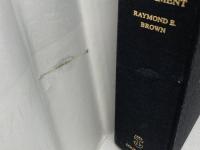 洋書　Introduction to the New Testament 　新約聖書への手引き　(Anchor Bible Reference) Anchor Bible Raymond E.Brown