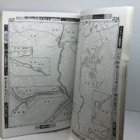 ゼンリン住宅地図　宝塚市　９１年　ゼンリン