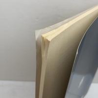 英文学のレポートを書くために　Writing Basic Literature Papers　 英潮社