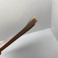 英文学のレポートを書くために　Writing Basic Literature Papers　 英潮社