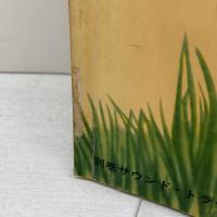 スタンダード英語講座【8】論文・レポートの書き方　大修館書店 　