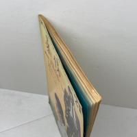 スタンダード英語講座【8】論文・レポートの書き方　大修館書店 　