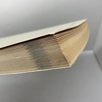 洋書　中国語　动什么，别动感情　趙趙　長江文芸出版社