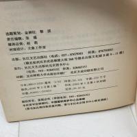 洋書　中国語　动什么，别动感情　趙趙　長江文芸出版社