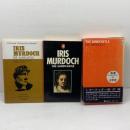 砂の城　The sandcastle　　アイリス・マードックIris Murdoch　　ペンギンブックス　英潮社　