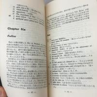砂の城　The sandcastle　　アイリス・マードックIris Murdoch　　ペンギンブックス　英潮社　