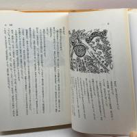 消えた沖縄女工: 一枚の写真を追う 未来社 下嶋 哲朗