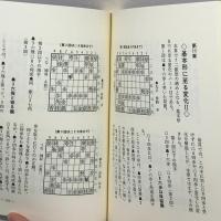 塚田スペシャル物語 マイナビ出版(日本将棋連盟) 塚田 泰明