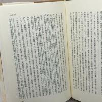 天皇制史論: 本質・起源・展開 岩波書店 水林 彪