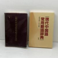 現代中国語常用略語辞典 白帝社