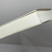 フーコーの系譜学: フランス哲学覇権の変遷 (講談社選書メチエ 101) 講談社 桑田 禮彰