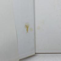 科学の極相　思考の対位法 (叢書=スキエンティア・ノーヴァ 1) 哲学書房 法橋 登