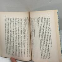 セワ゛ストーポリ (岩波文庫) 岩波書店 トルストイ
