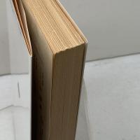 プラトーノフ作品集 (岩波文庫 赤646-1) 岩波書店