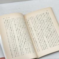 プラトーノフ作品集 (岩波文庫 赤646-1) 岩波書店