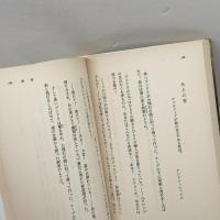 夜のガスパール: レンブラント、カロー風の幻想曲 (岩波文庫 赤 589-1) 岩波書店 アロイジウス ベルトラン