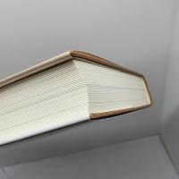 ブレイク伝 みすず書房 P.アクロイド