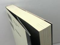 新しいアナキズムの系譜学 (シリーズ・道徳の系譜) 河出書房新社 高祖 岩三郎