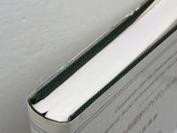 ガラテヤ共同体のアイデンティティ形成 (関西学院大学研究叢書 第 145編)