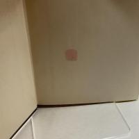 幕藩制確立期の村落 (1973年) 吉川弘文館 高牧 実