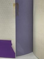 花は色 人は心―神戸花街三味線流し菊丸一代記 リトルガリヴァー社 大野 慈美