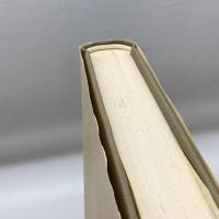 人類・文明の救済とキリスト教　　市川恭二先生喜寿献呈論文集 ノーブランド品 倉松　巧　編