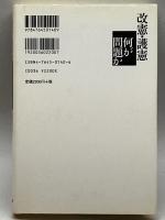 改憲・護憲 何が問題か―徹底検証・憲法調査会 技術と人間 高田 健