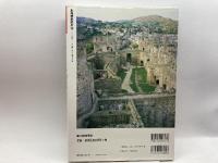 日本の城世界の城―最新研究 (別冊歴史読本 16) KADOKAWA(新人物往来社) 千田 嘉博