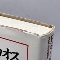 ロシア 聖とカオス: 文化・歴史論叢 彩流社 徳明, 坂内