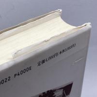 アメリカン・ヒーローの系譜 研究社出版 亀井 俊介