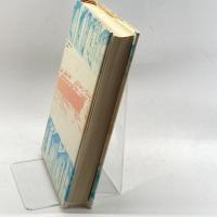 マチノロジー―街の文化学 (1977年)  望月照彦 創世記