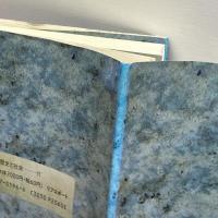 英国をみる 歴史と社会 (第11号) (歴史と社会 11) リブロポート 草光 俊雄