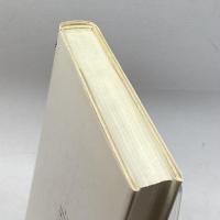 中国近代思想と現代―知的状況を考える (研文選書) 研文出版 河田 悌一