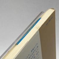 おもしろい身近な物理 (1979年) (ペレリマンの科学の家) 東京図書 ペレリマン