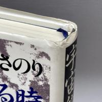 宇宙卵の割れる時: 意識の進化とニューヴィジョン 講談社 おおえ まさのり