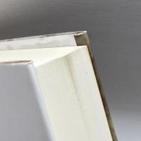 ショコラ 歴史から消し去られたある黒人芸人の数奇な生涯 集英社インターナショナル ジェラール・ノワリエル