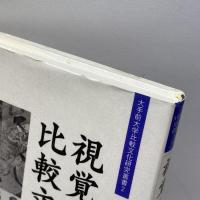 視覚芸術の比較文化 (大手前大学比較文化研究叢書 2) 思文閣出版 武田 恒夫