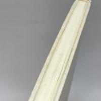 ピアジェ思想入門: 発生的知の開拓 晃洋書房 市川 功