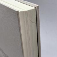 科学者の責任―哲学的探究 産業図書 ジョン・フォージ