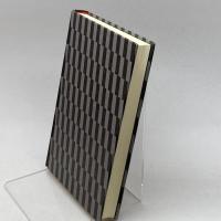 モダニズムの惑星――英米文学思想史の修辞学 岩波書店 巽 孝之