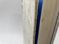 ドイツ社会民主党の戦後史: 国民政党の実践と課題 三元社 ペーター レッシェ