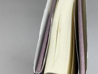 歴史の誕生とアイデンティティ (九州国際大学社会文化研究所叢書 3) 日本経済評論社 高田 実