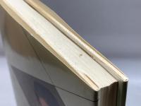 疾風谷川将棋 マイナビ出版(日本将棋連盟) 谷川 浩司