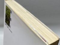 集客力: なぜ人は集まるのか何が人を集めるのか PHP研究所 電通集客装置研究会