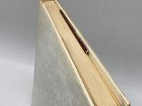 反逆と真実の魂―ベリンスキイの生涯と思想 　藤井一行 　青木書店