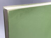 鍼治療の科学的根拠 医道の日本社