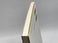 大地震と都市災害 (都市・建築防災シリ-ズ) 鹿島出版会 鹿島都市防災研究会